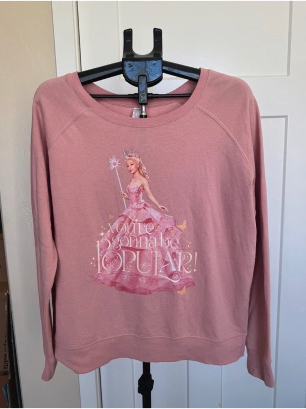Pink Wicked Graphic Sweatshirt - You're Gonna be Popular